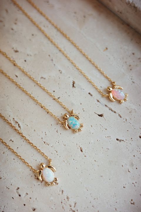 R0006601-1744717006858