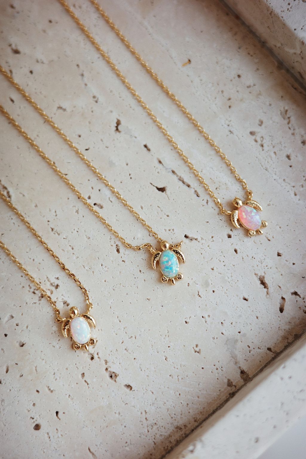 R0006599-1744717006856