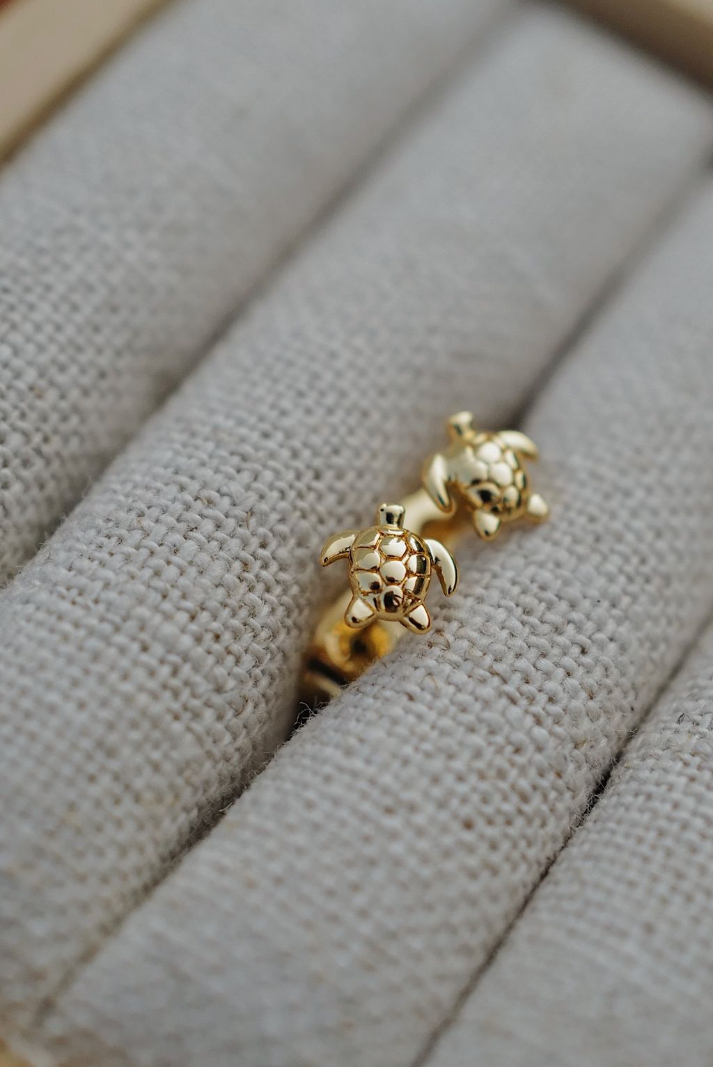 L1180407-1746071590303