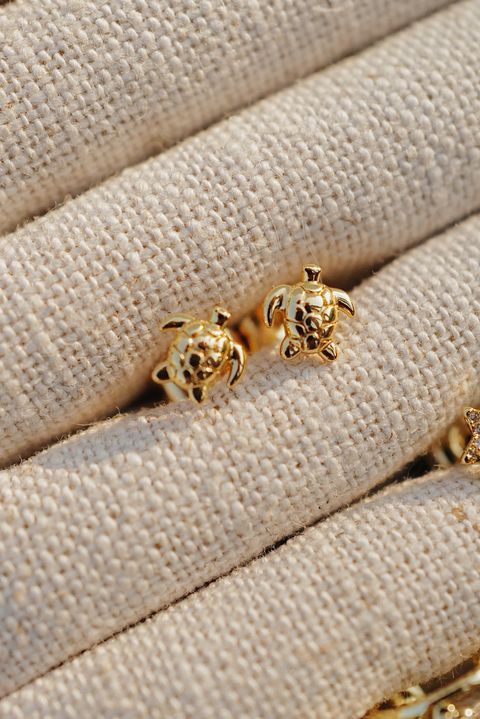 L1180405-1746071590311