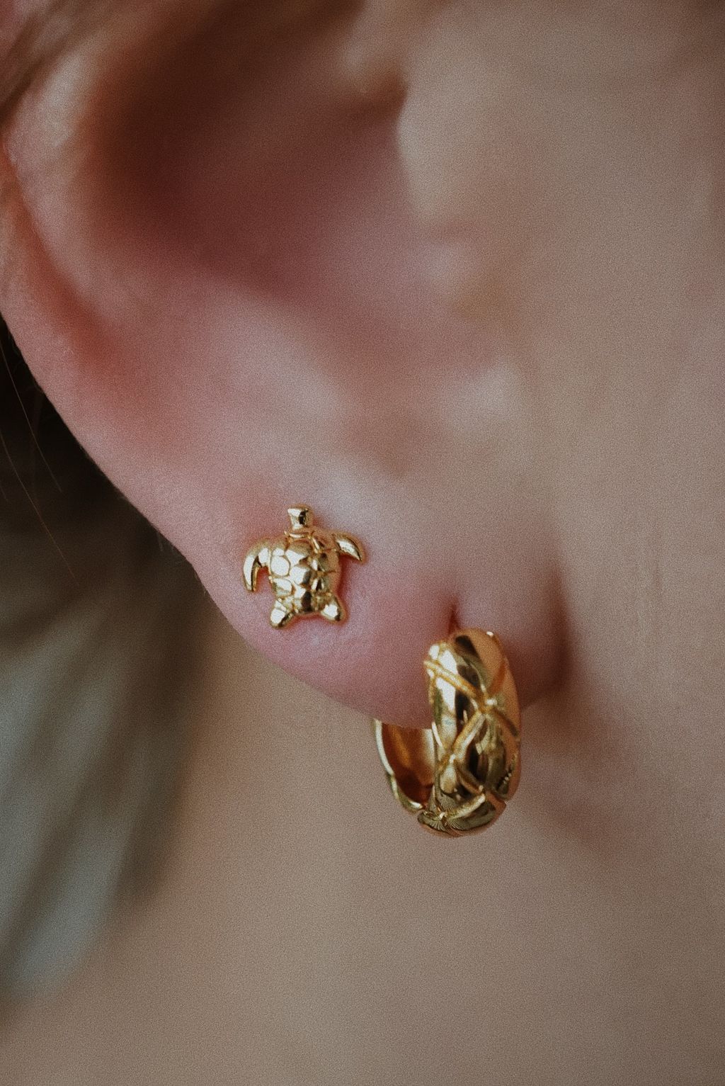 Facetune_27-04-2025-23-39-04-1746071590334