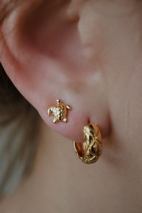 Facetune_27-04-2025-23-39-04-1746071590334