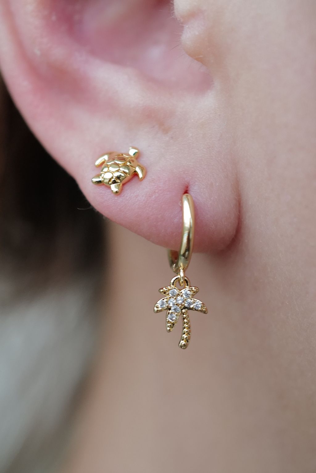 L1180679-1746071590338