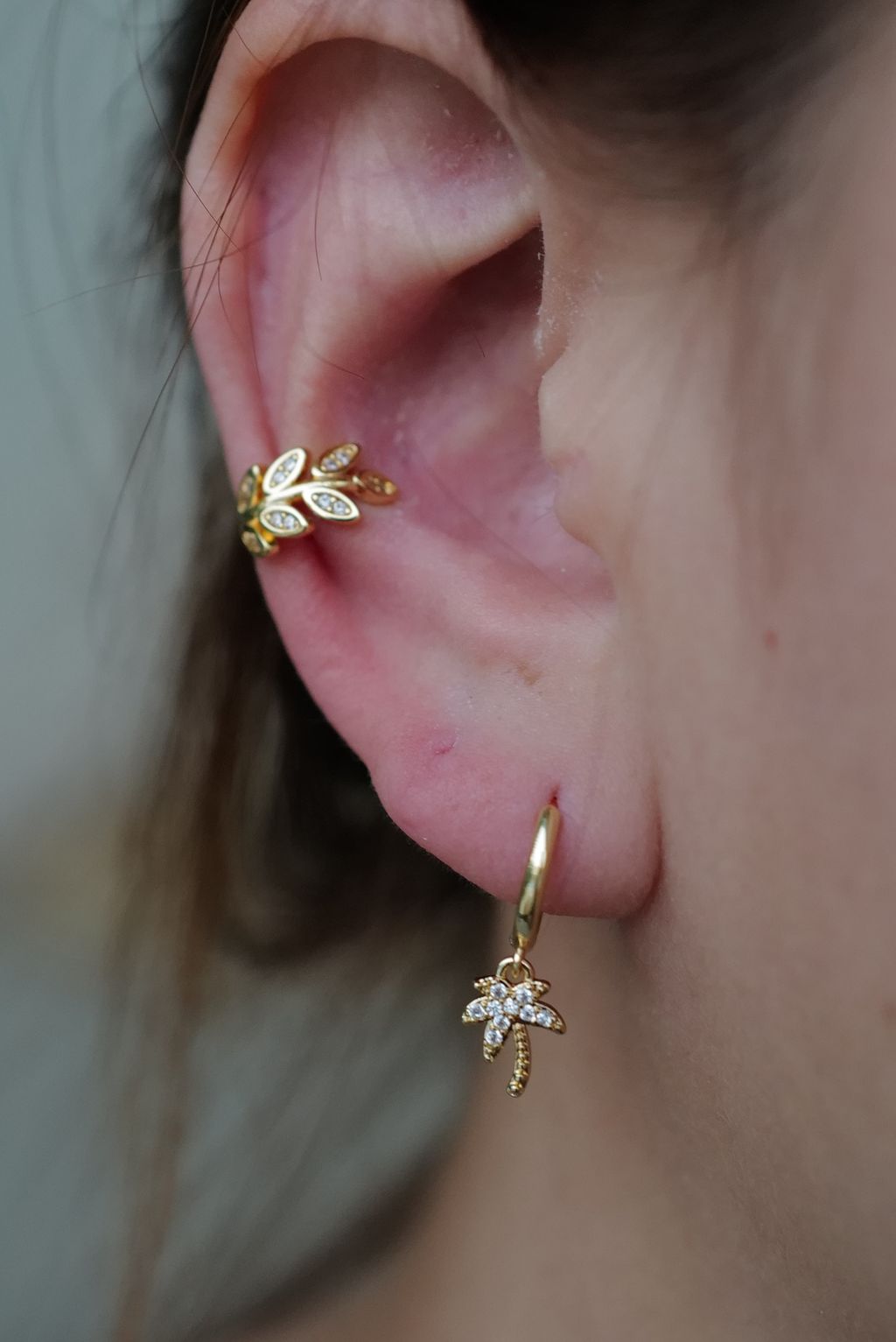 L1180687-1746071735402