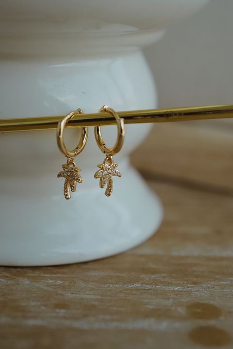 L1190125-1746071916682