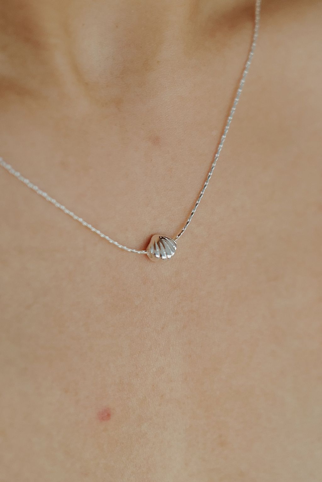 L1171433-1746081453280