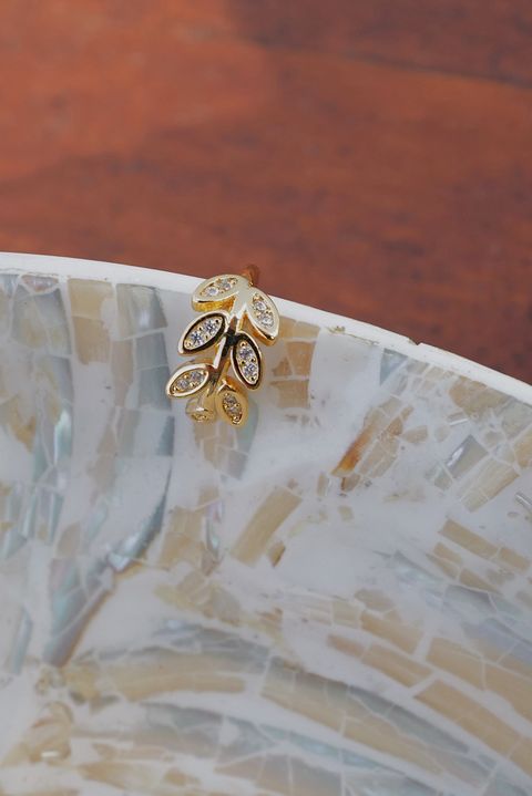 L1180445-1746096175119