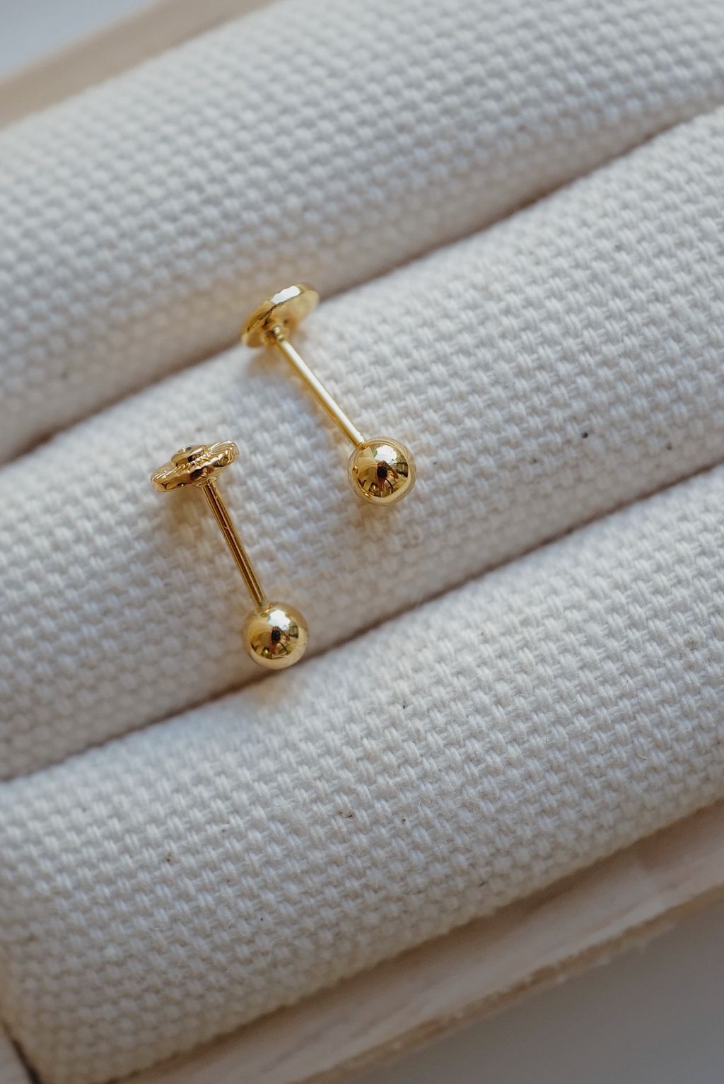 L1210482-1751892259871