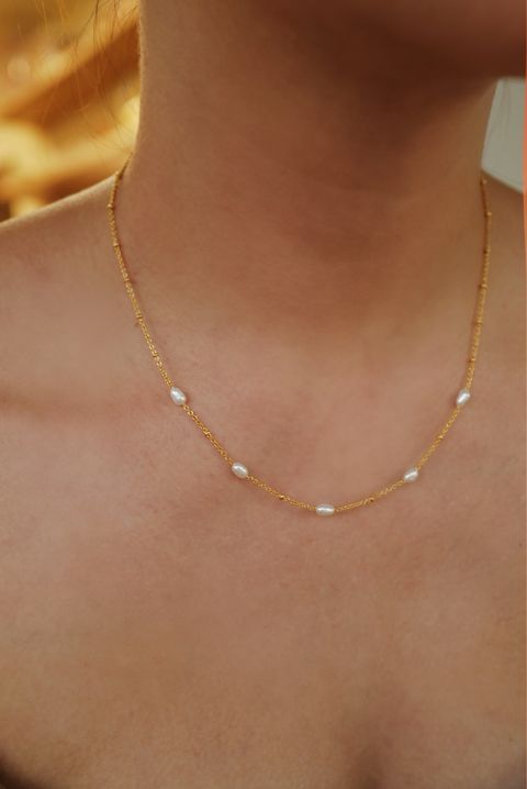 IMG_6452-1760026258916