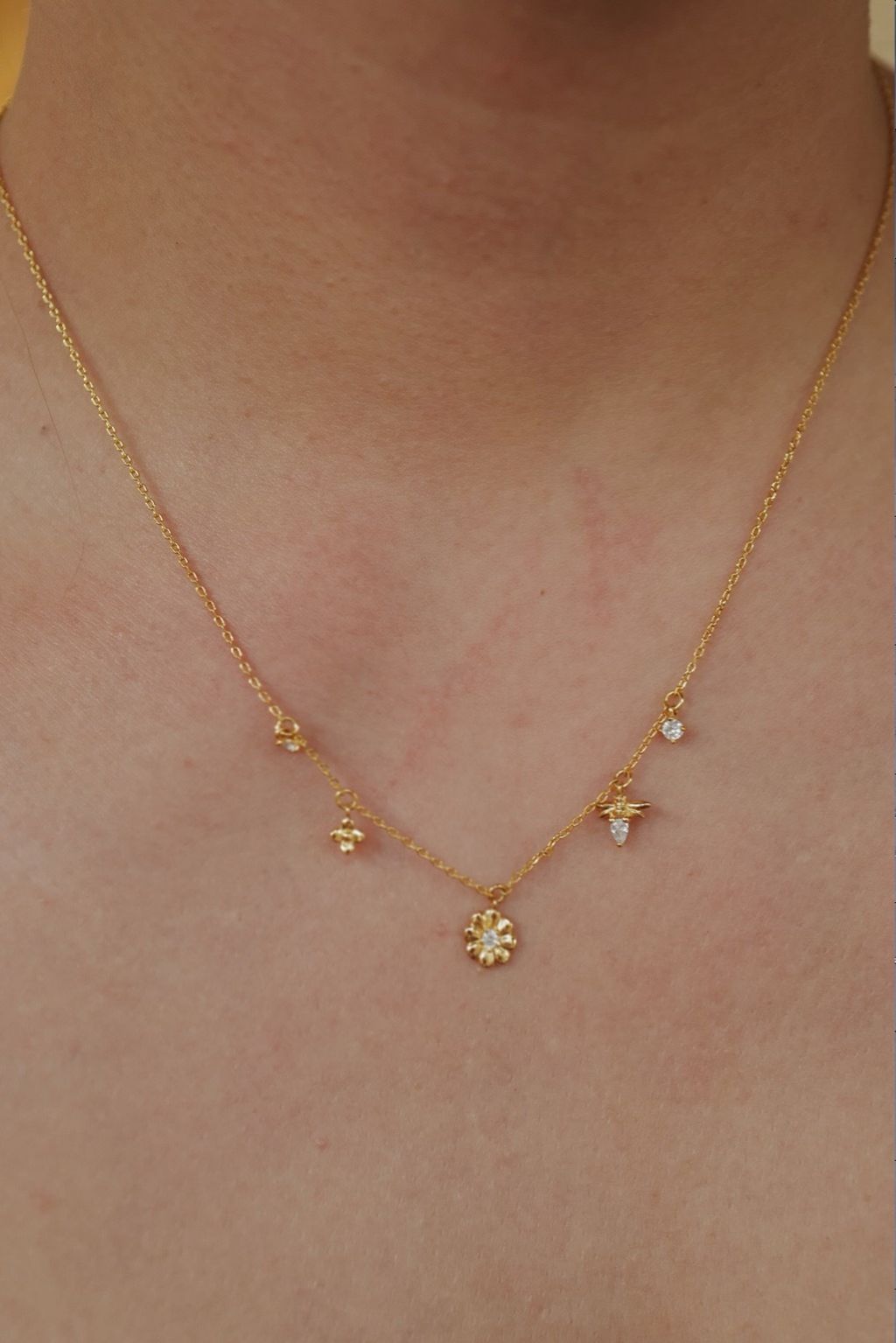 IMG_6450-1760026327588