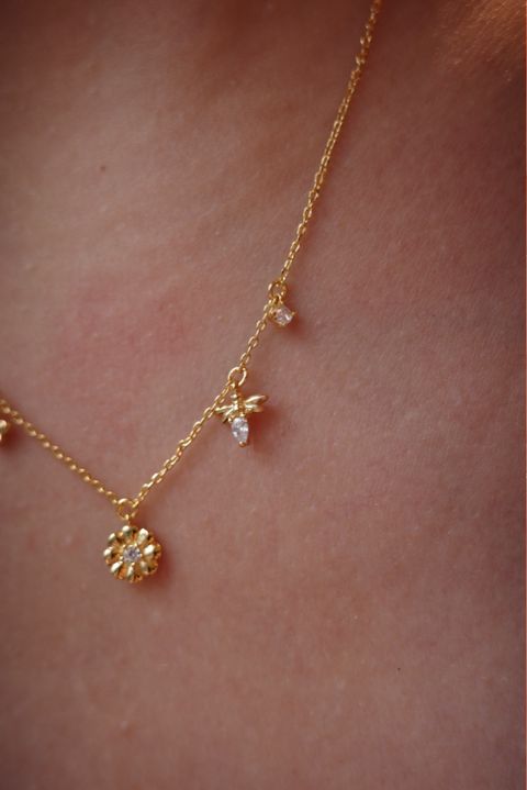 IMG_6162-1760026327601