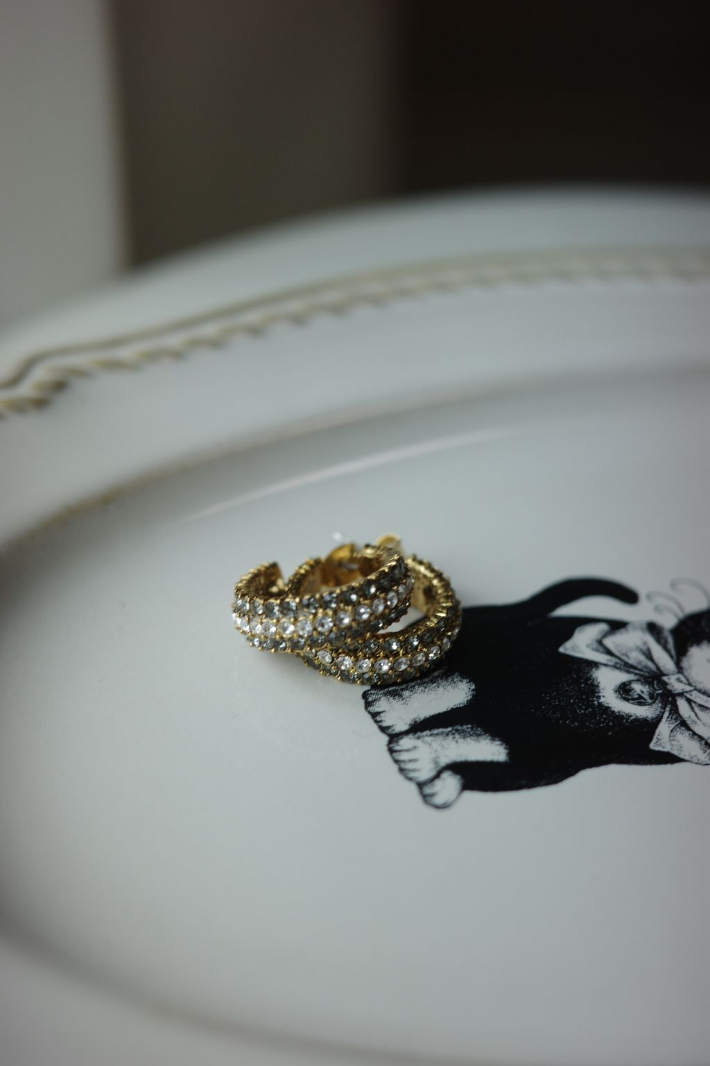 R0011005-1760027228418