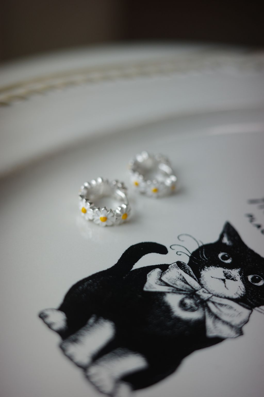 R0011047-1760028026400