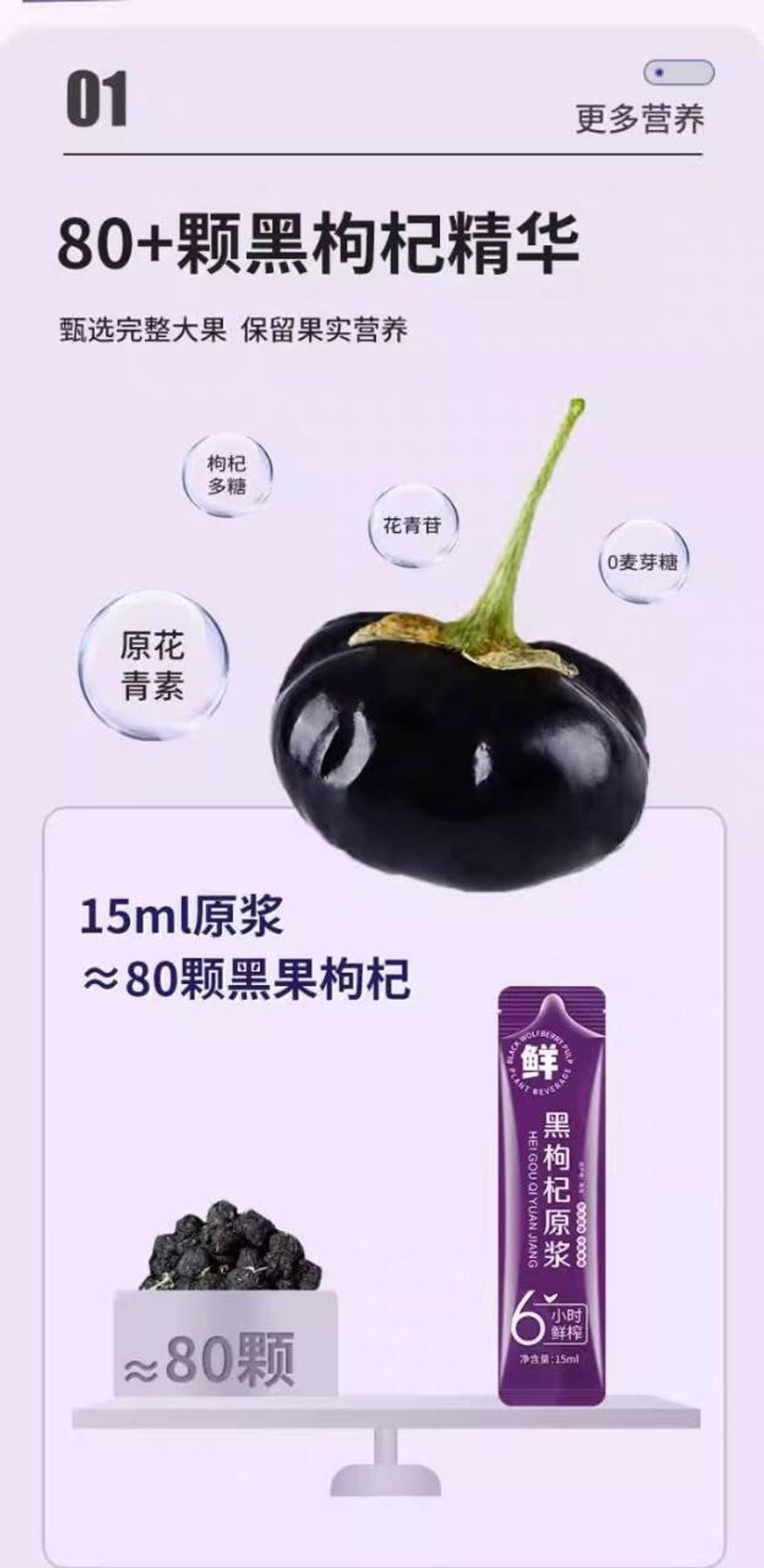 黑枸杞4