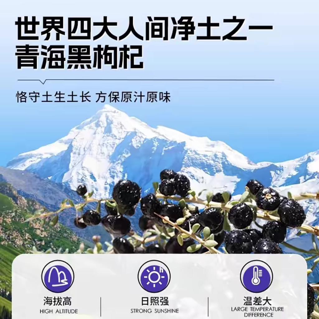 黑枸杞2