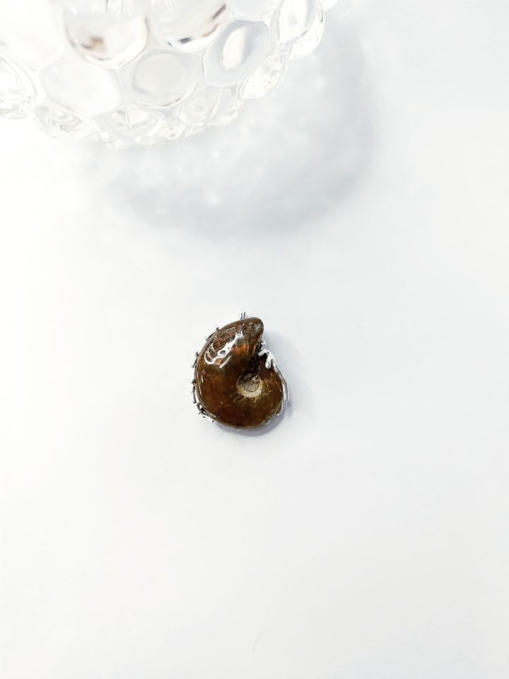IMG-20240805-WA0028