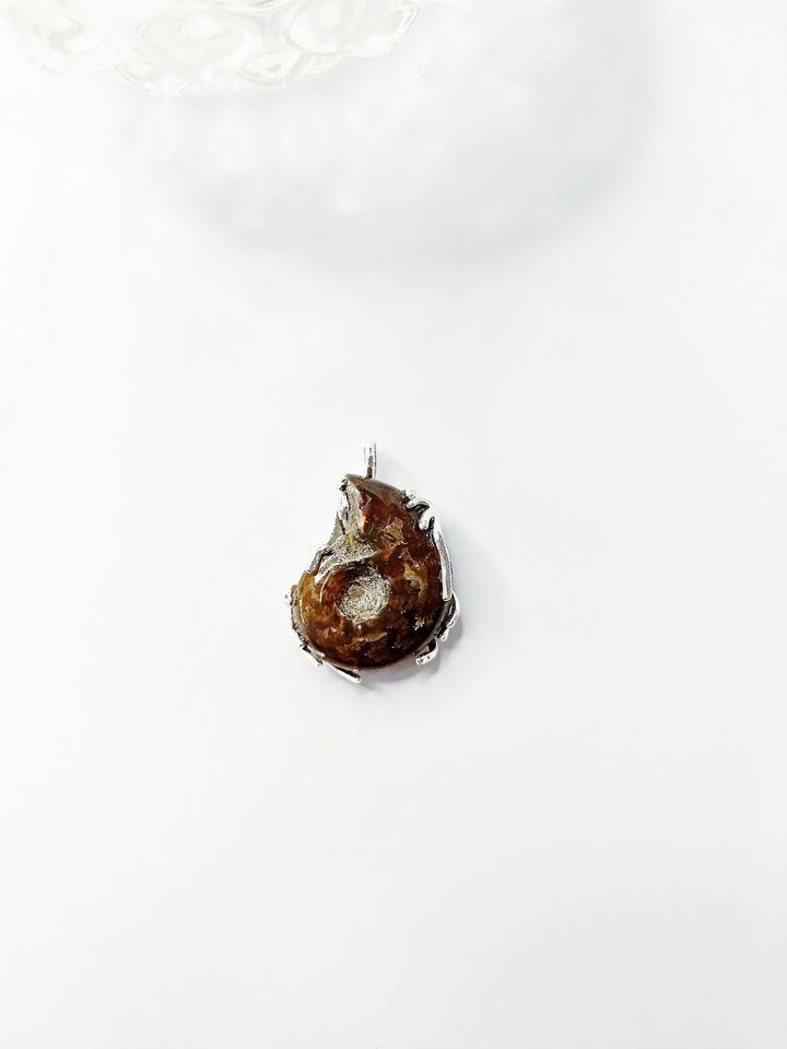 IMG-20240805-WA0026