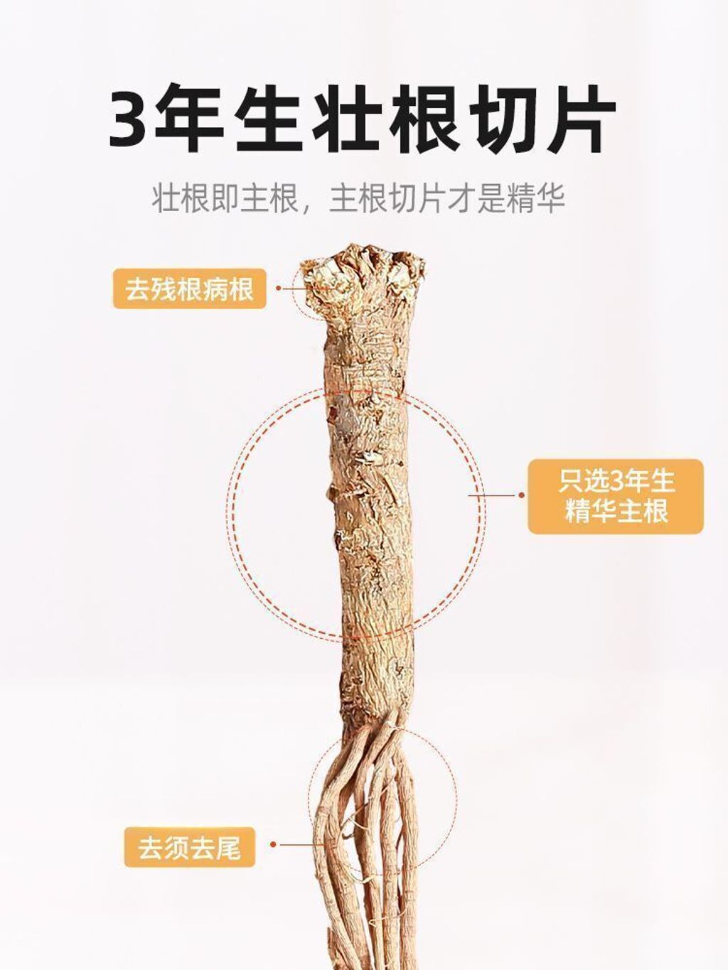 1745224280640-1567830995