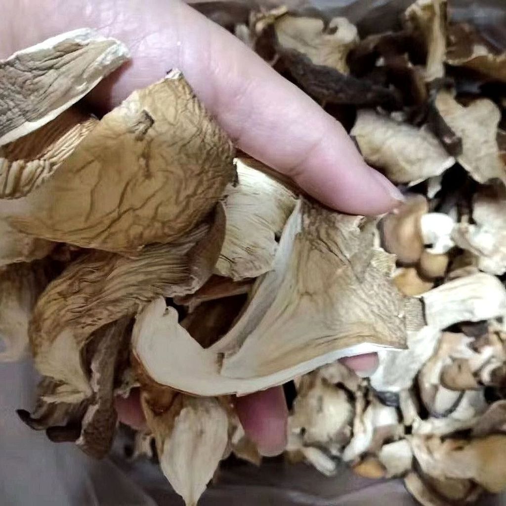 1761640752731-446686276