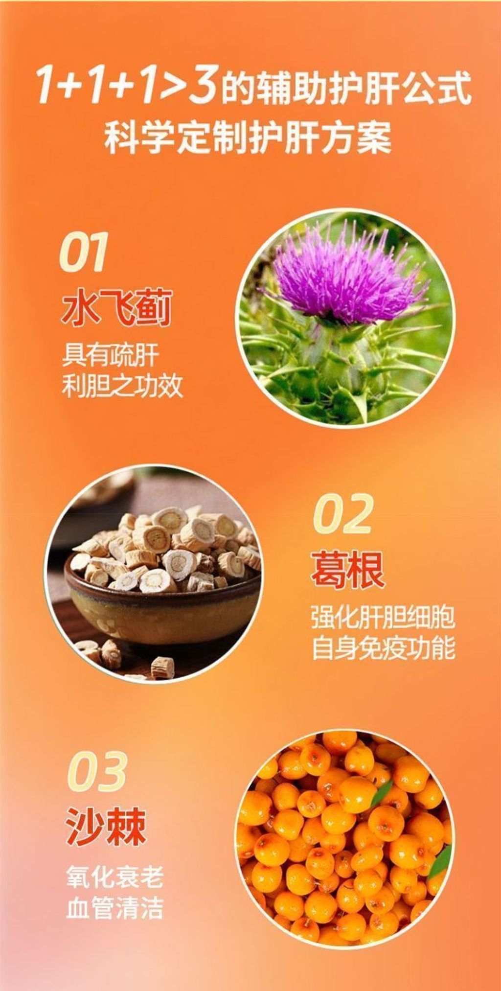 1764153089615--1940861702