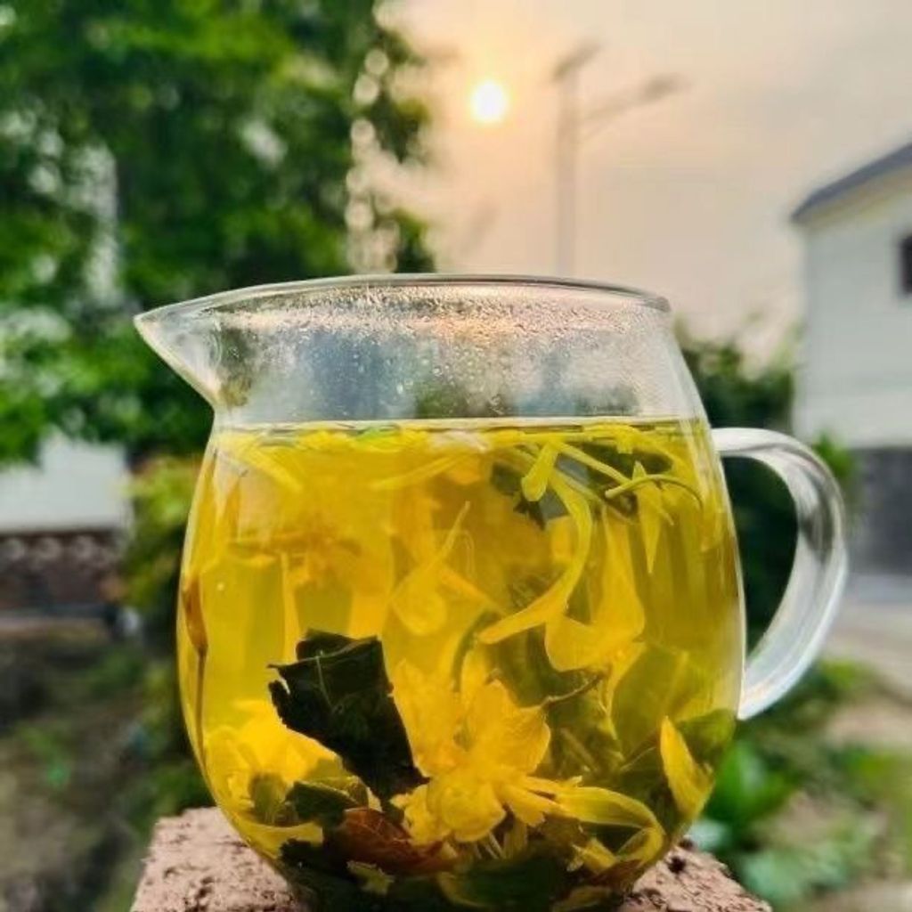 1765696294558--2124141472