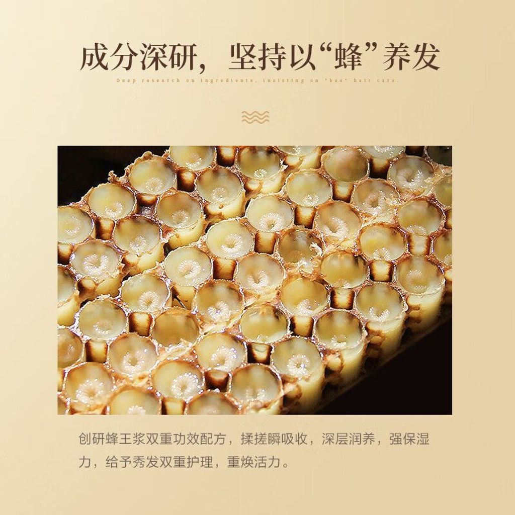 1769845446327--1703541343