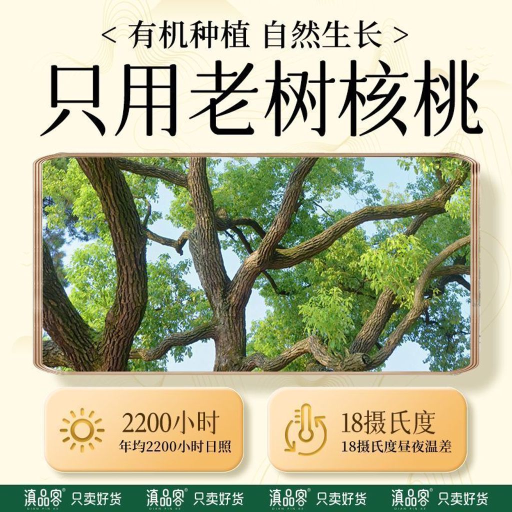 1770286522817--639327106