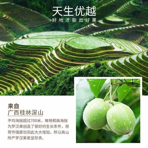 1771026989506-765569976