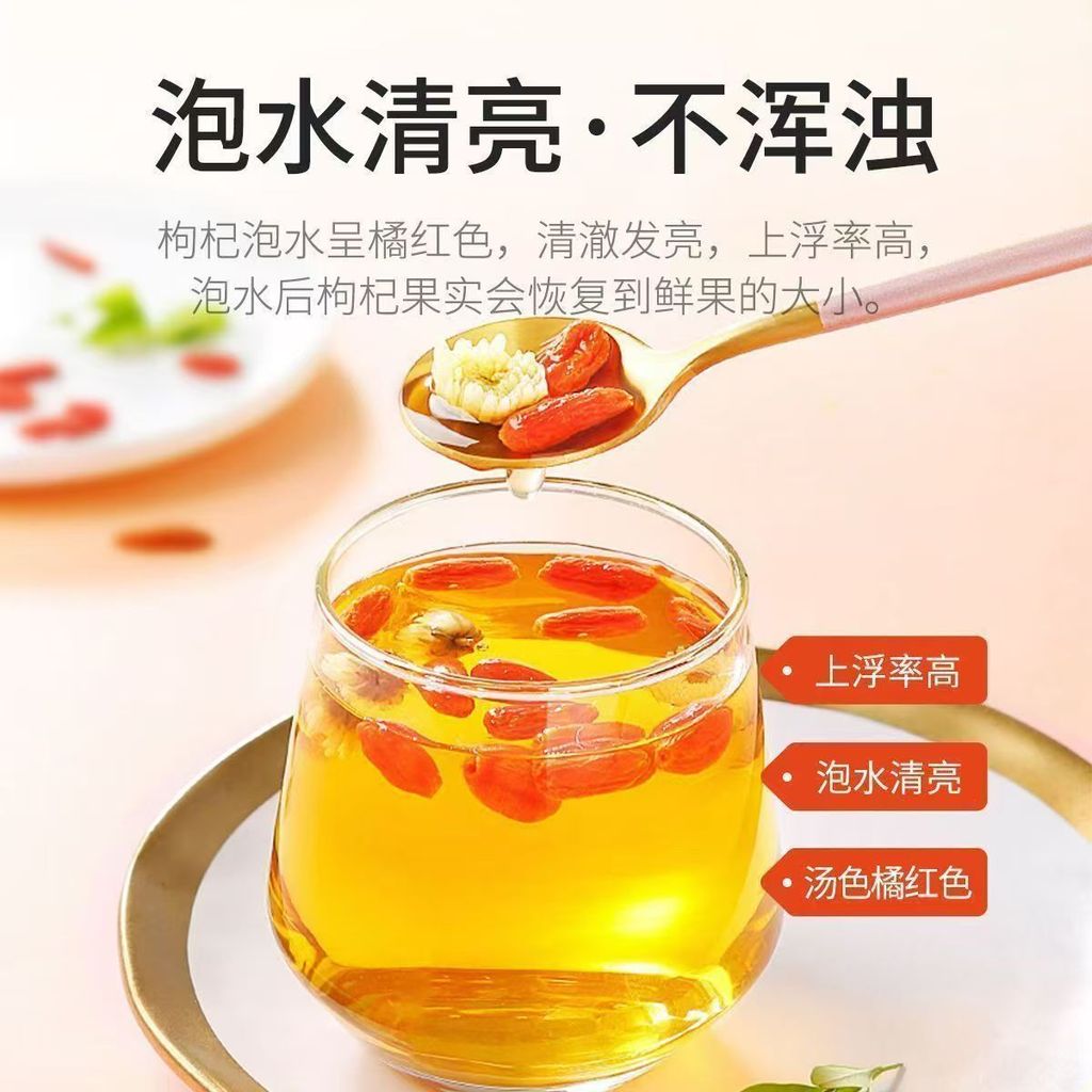 1771064500454--146572617