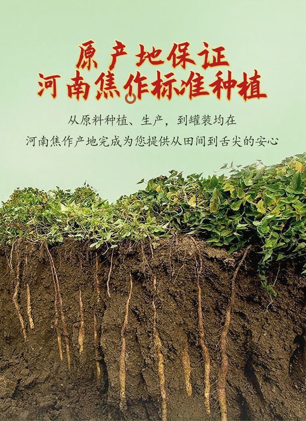 1771129685673-1458179971