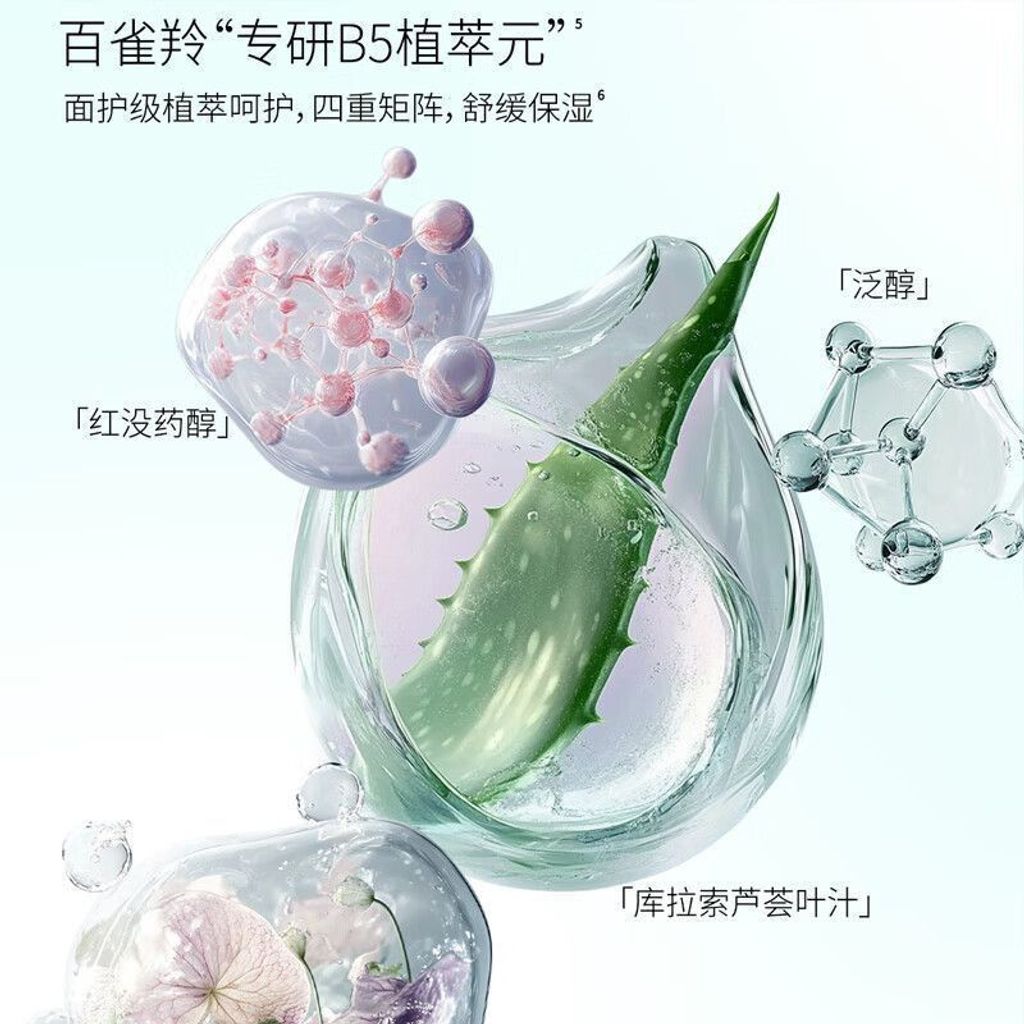 1762003557682-1026267901