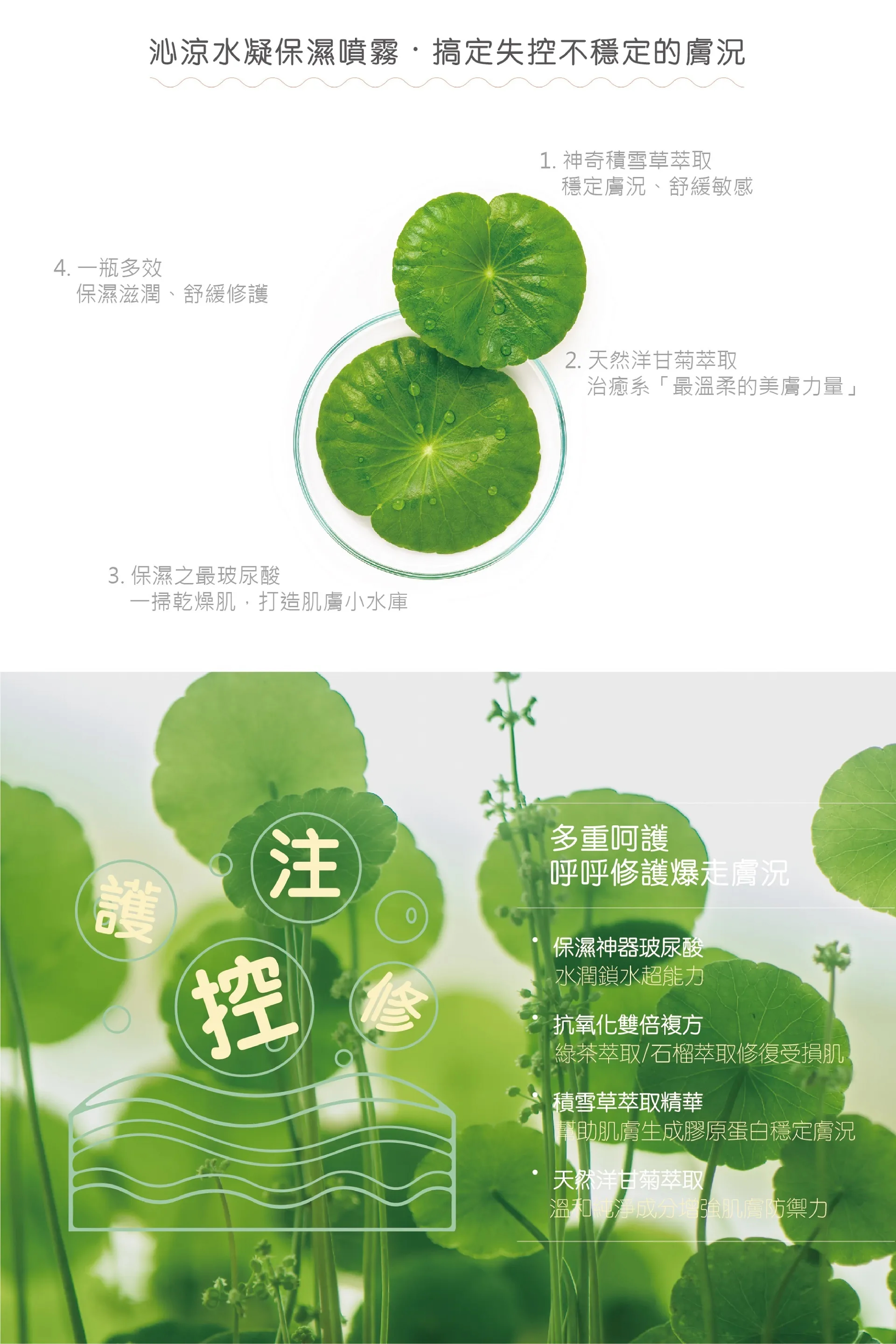 hi&seek_web_3_Final-02