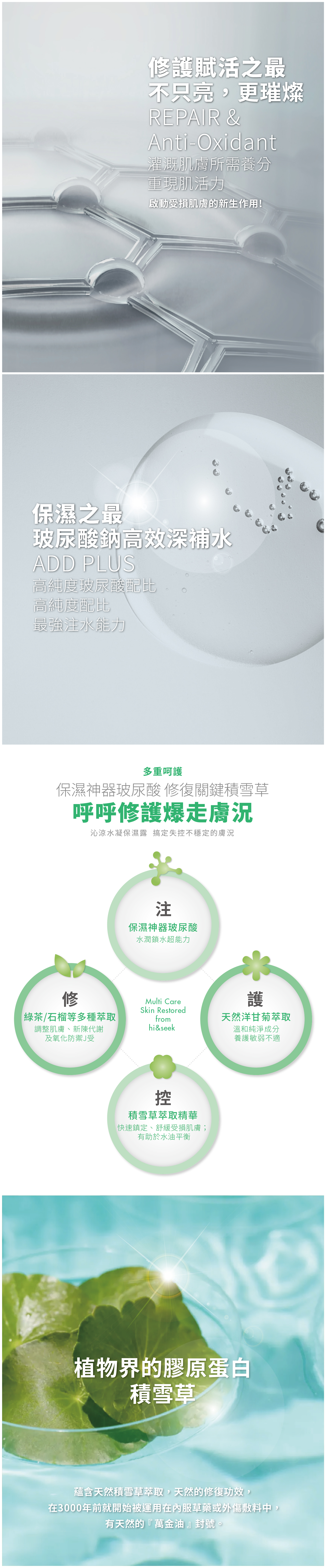 hi&seek_web_2_1020-02