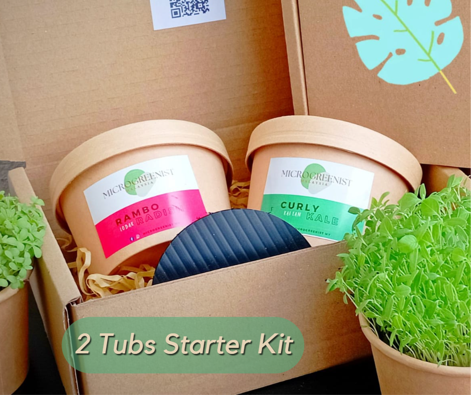 2 Tubs Grow Your Own Microgreens Starter Kit Microgreenist Malaysia
