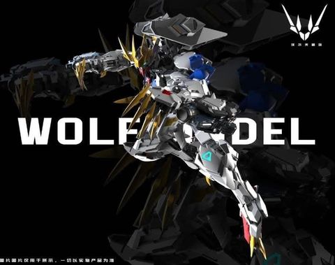 FB_IMG_1736581915653