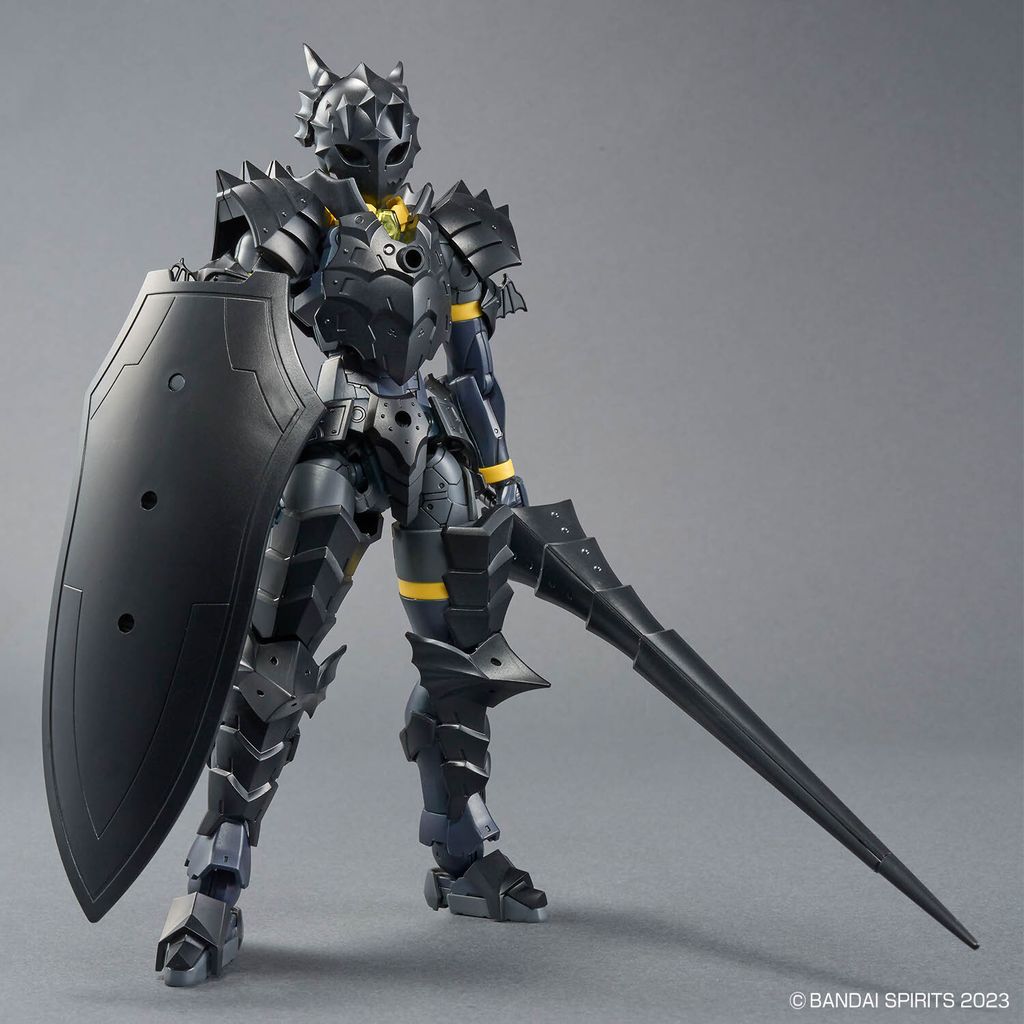 rosanlancer