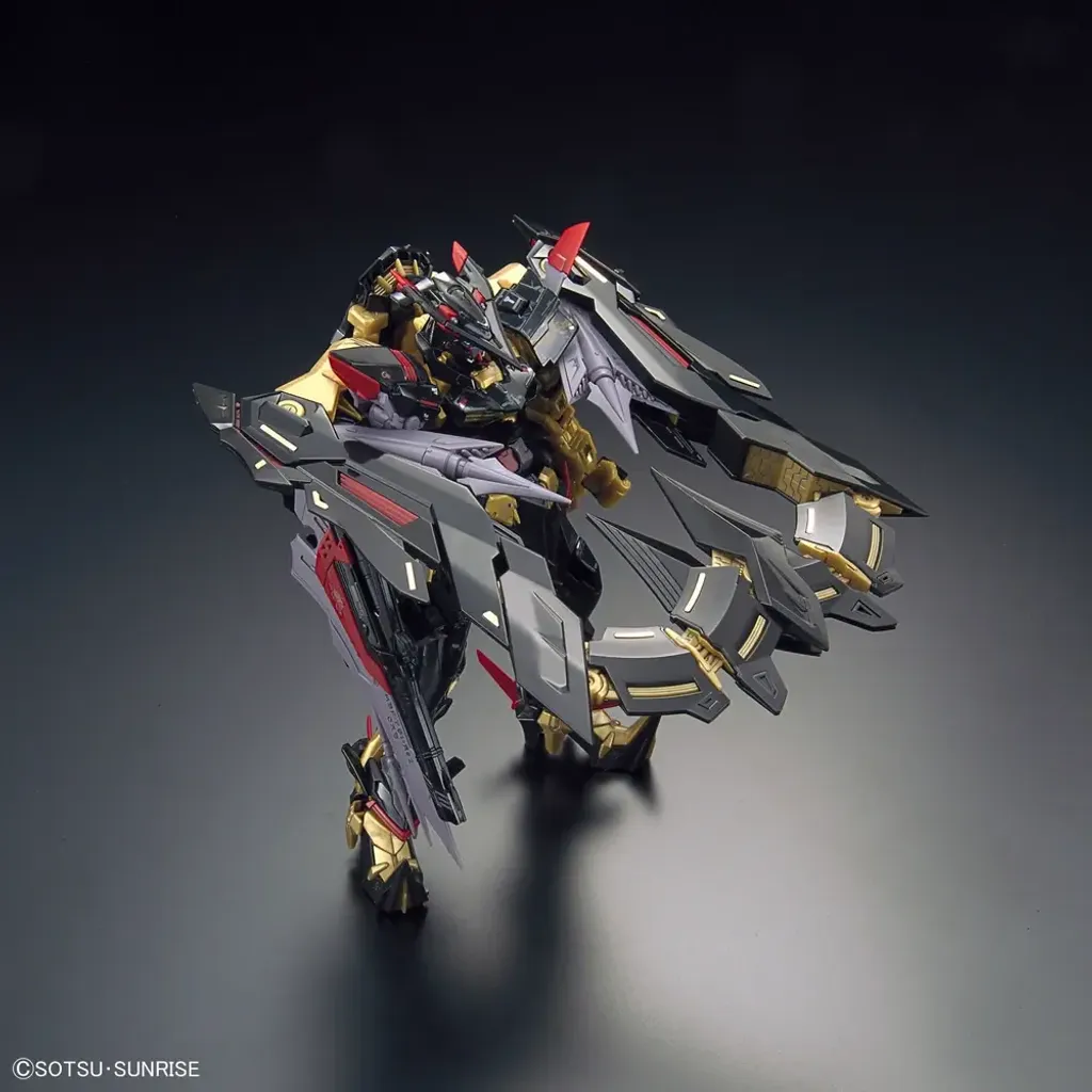 RG-Gundam-Astray-Gold-Frame-Amatsu-Mina-3