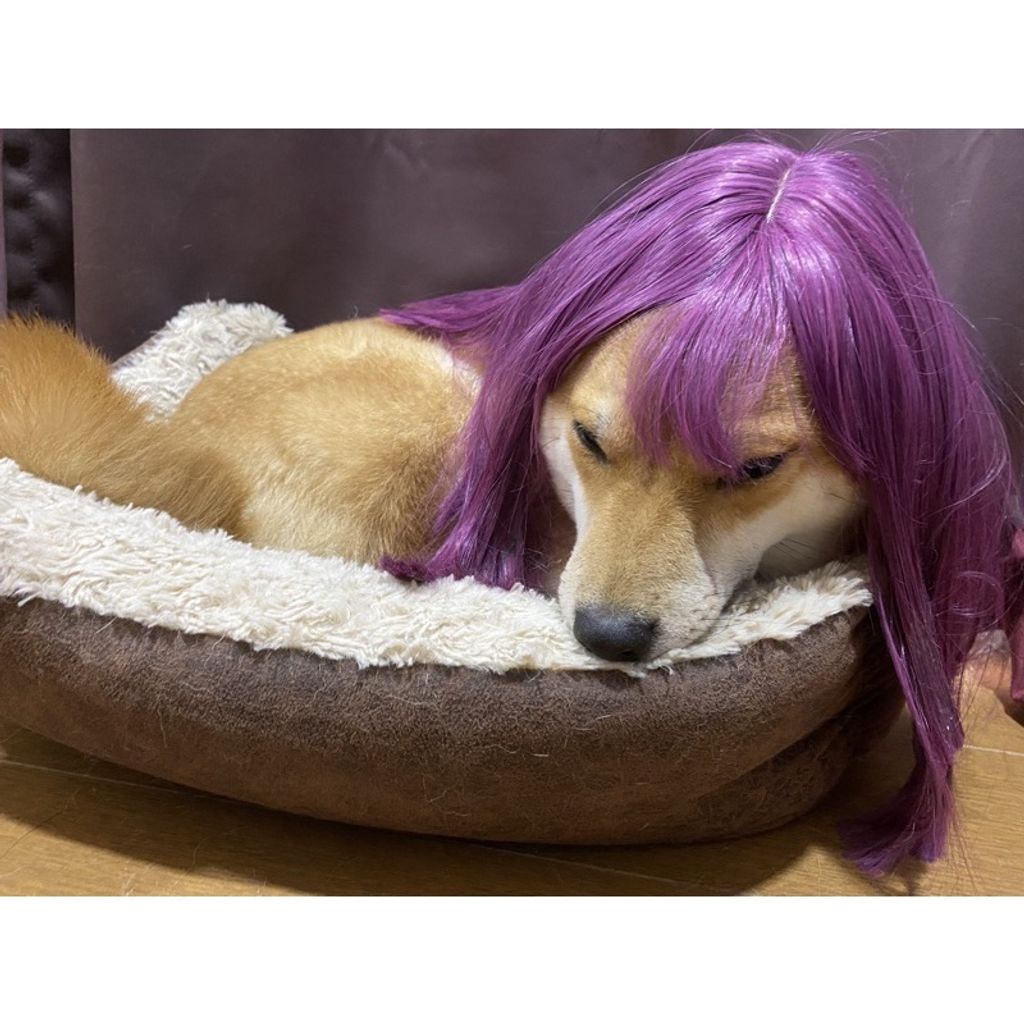 d87168f7c896b003c90808ab23b3baf2