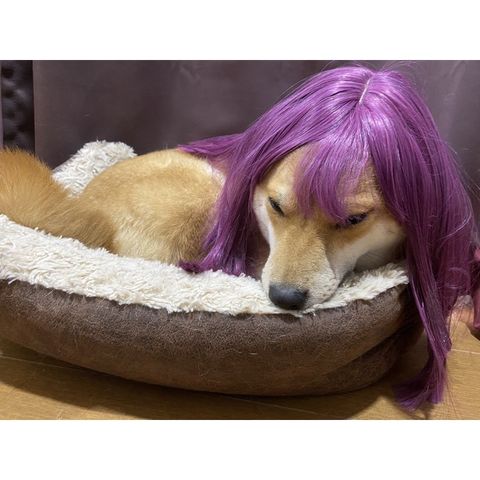 d87168f7c896b003c90808ab23b3baf2