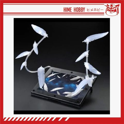 my-11134207-7rash-mbq0nknxn7ja5c