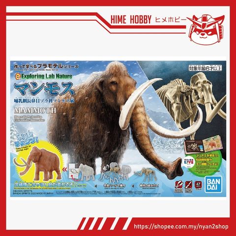 e46b66919cff14cc704e7a347829f61f