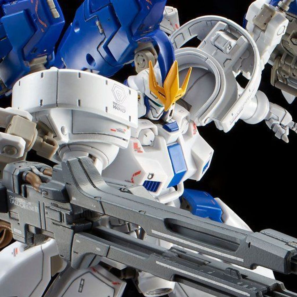RG TALLGEESE Ⅲ 1