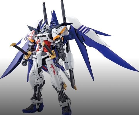 image_B1B6CCEA-6E7B-40D0-8A70-5901D47FB3F4_1772359886