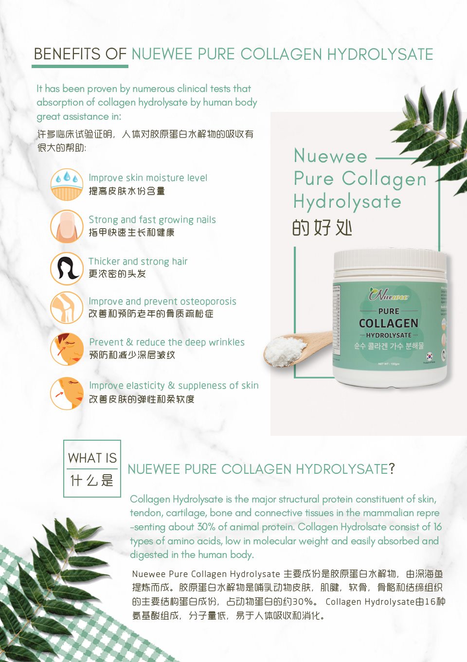 Benefits-of-Pure-Collagen-Hydrolysate