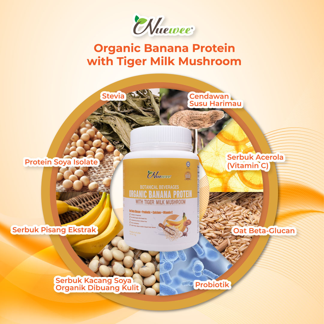 Nuewee-Organic-Banana-Protein-with-Tiger-Milk-Mushroom-1kg-Ingredients-Malay