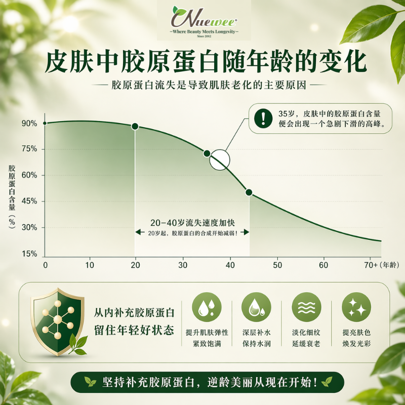 胶原蛋白流失变化
