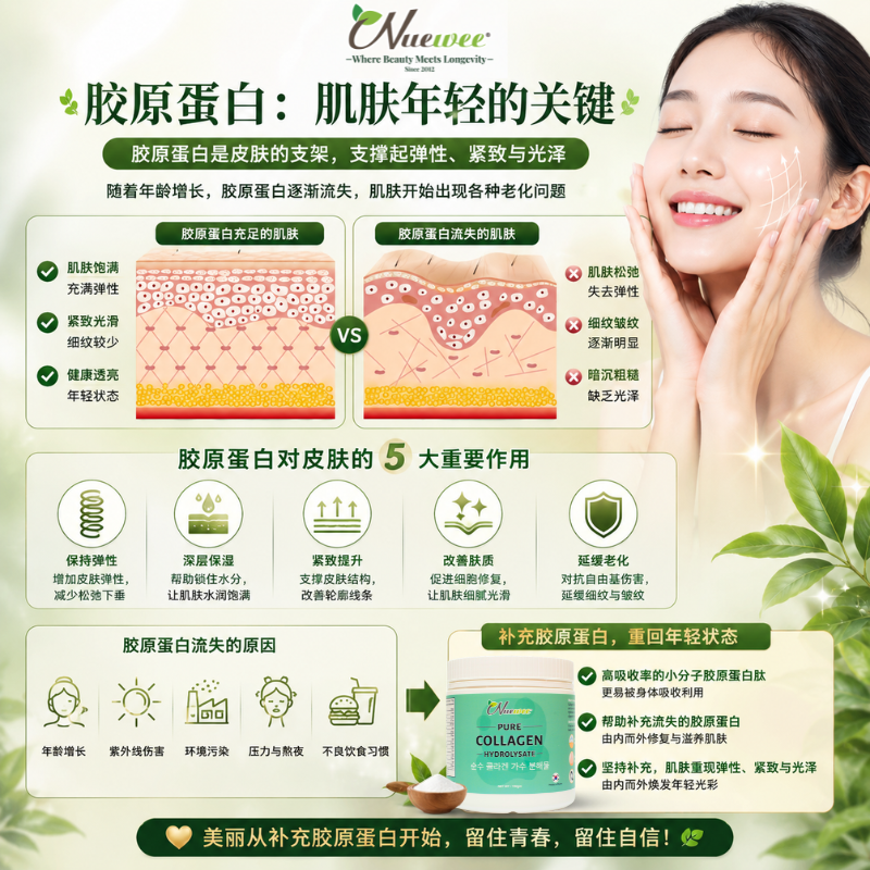 皮肤胶原蛋白充足比较图