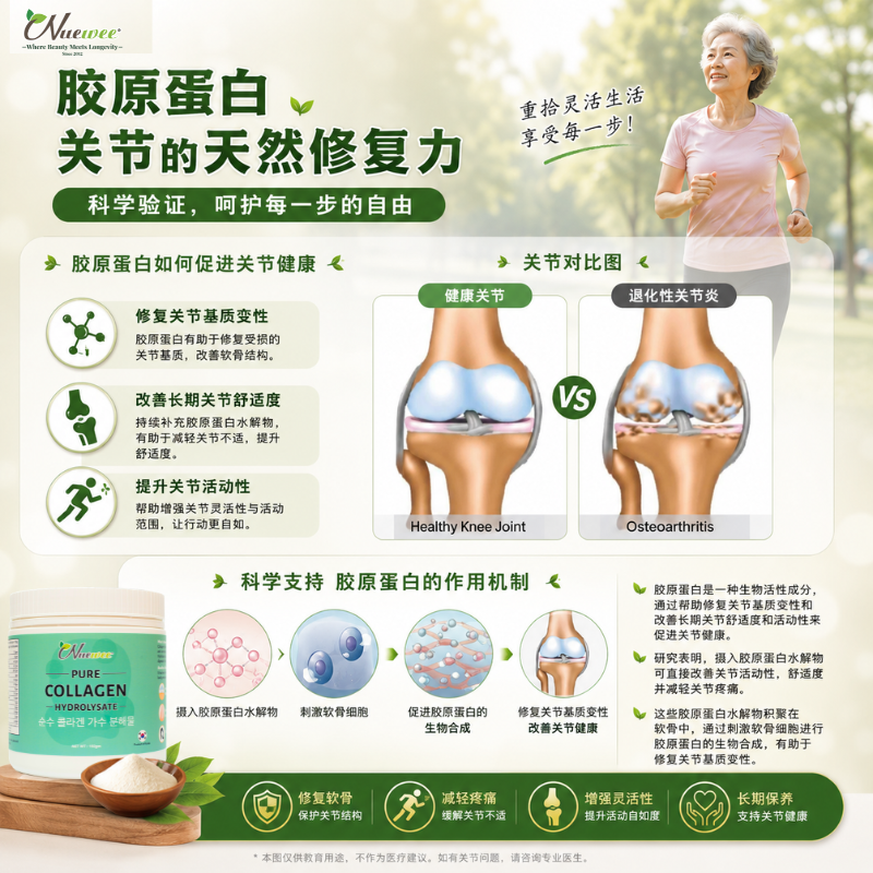 胶原蛋白对关节好