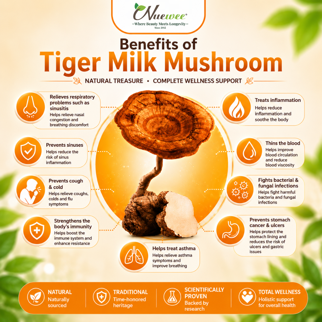 Benefit of Tiger Milk Mushroom 英文