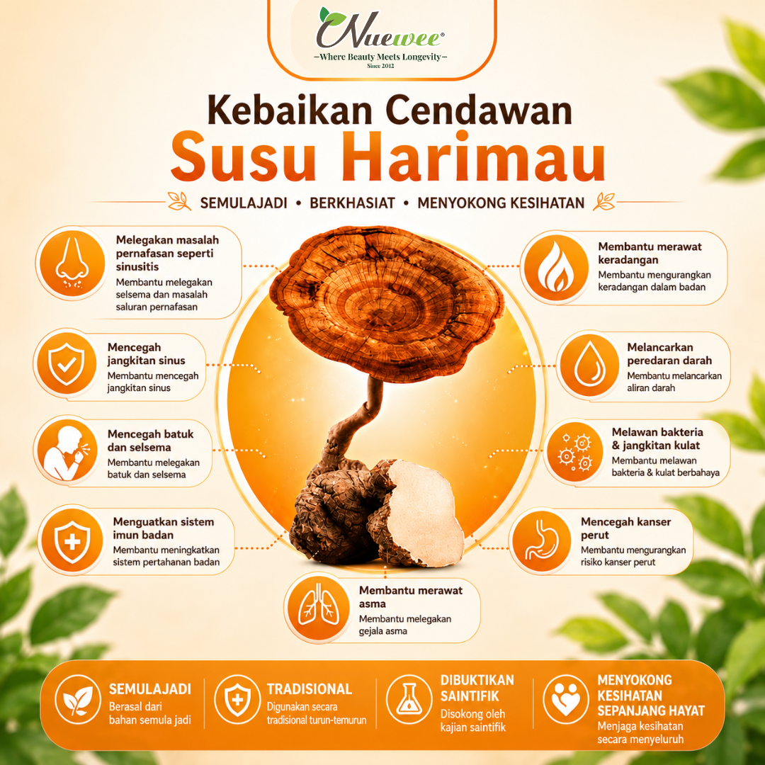 Benefit of Tiger Milk Mushroom 马来文